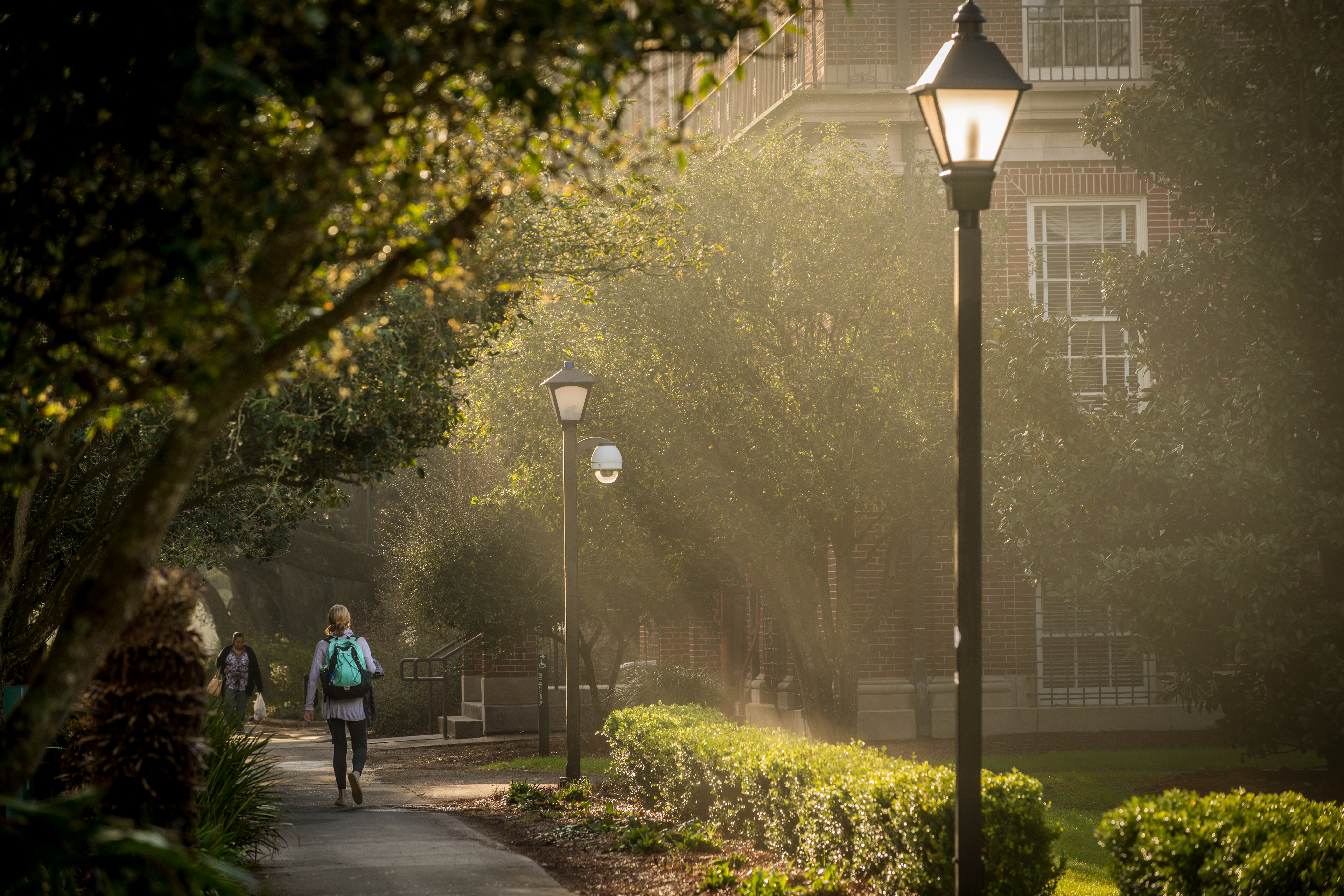 A student walks down a lighted path